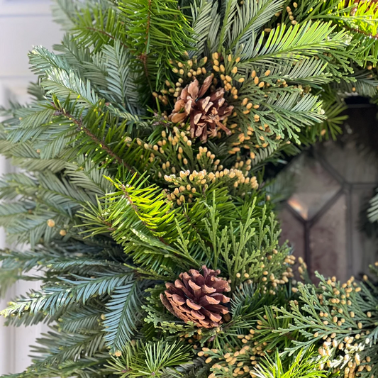 Fresh Cedar Fir, Redwood and Pinecone Wreath