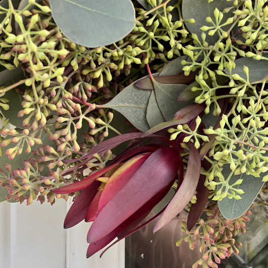 Seeded Eucalyptus and Safari Sunset Leucadendron Wreath
