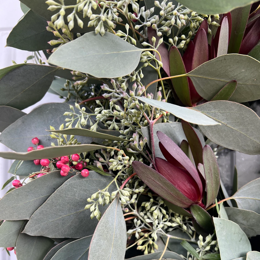 Fresh Seeded Eucalyptus Leucadendron and Pepperberry Wreath