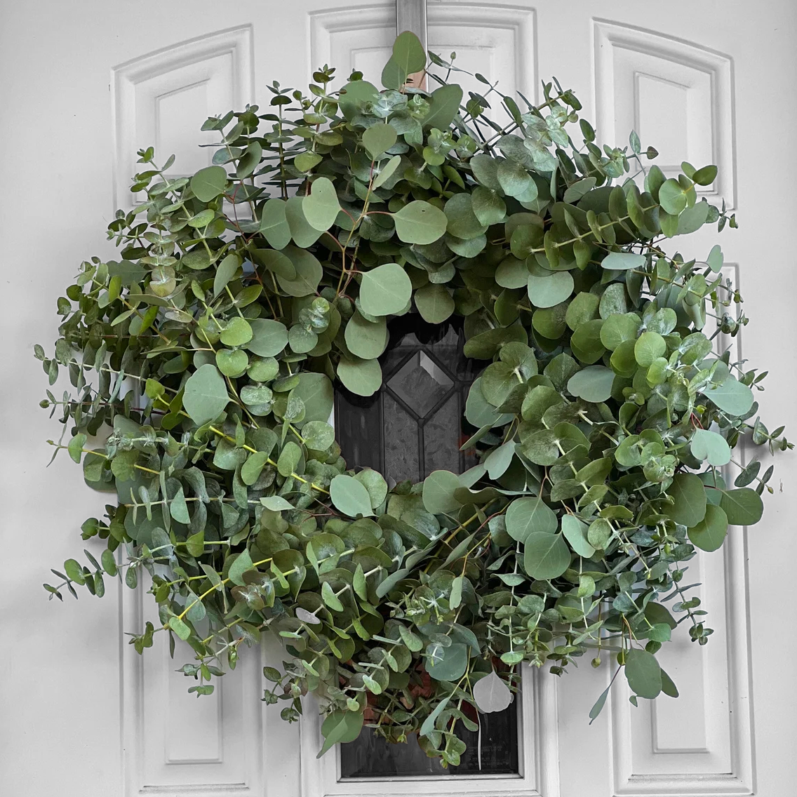 Fresh Spiral and Silver Dollar Eucalyptus Wreath