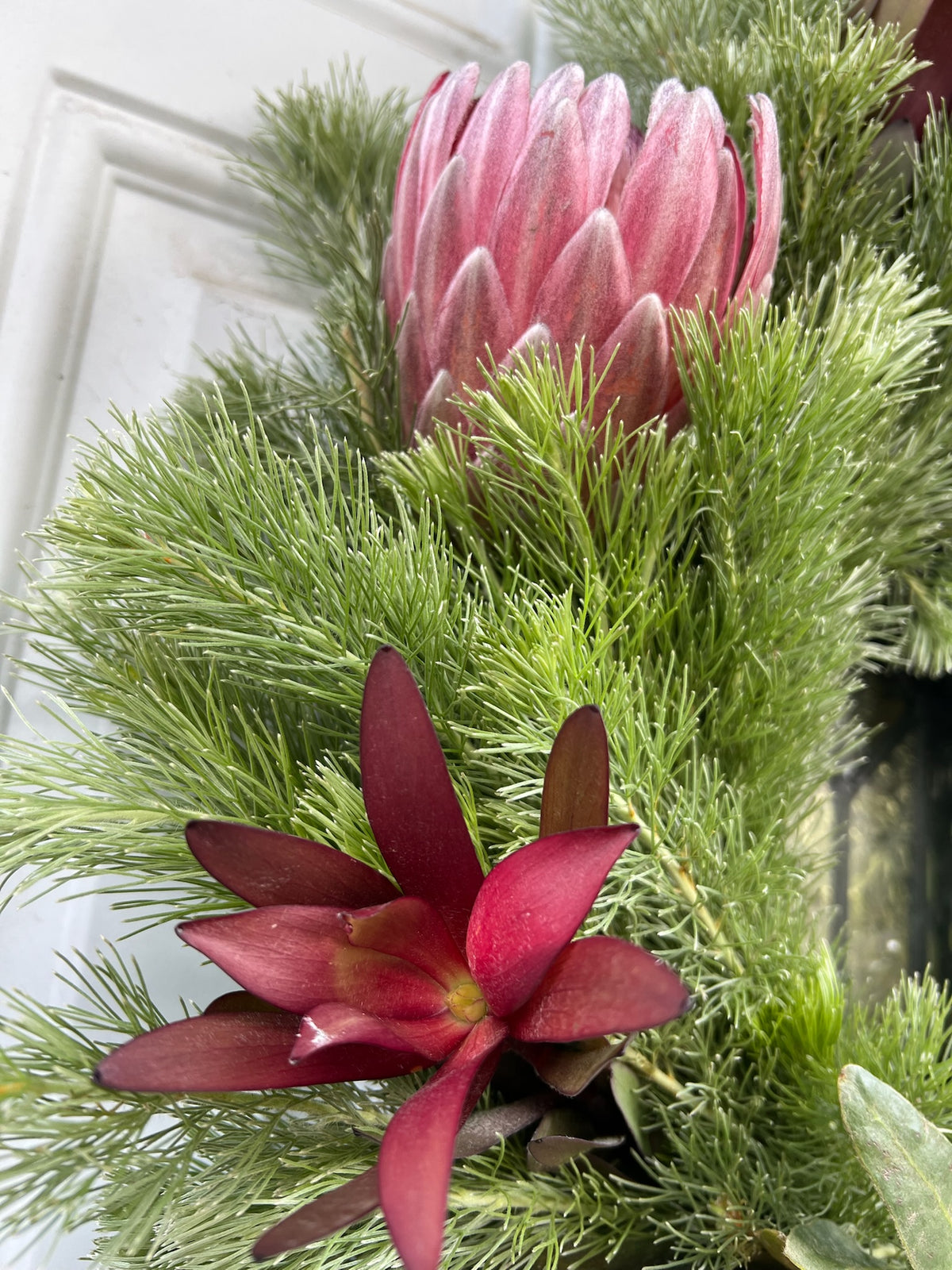 Safari Sunset Leucadendron, Woolly Bush, and Pink Ice Protea Wreath