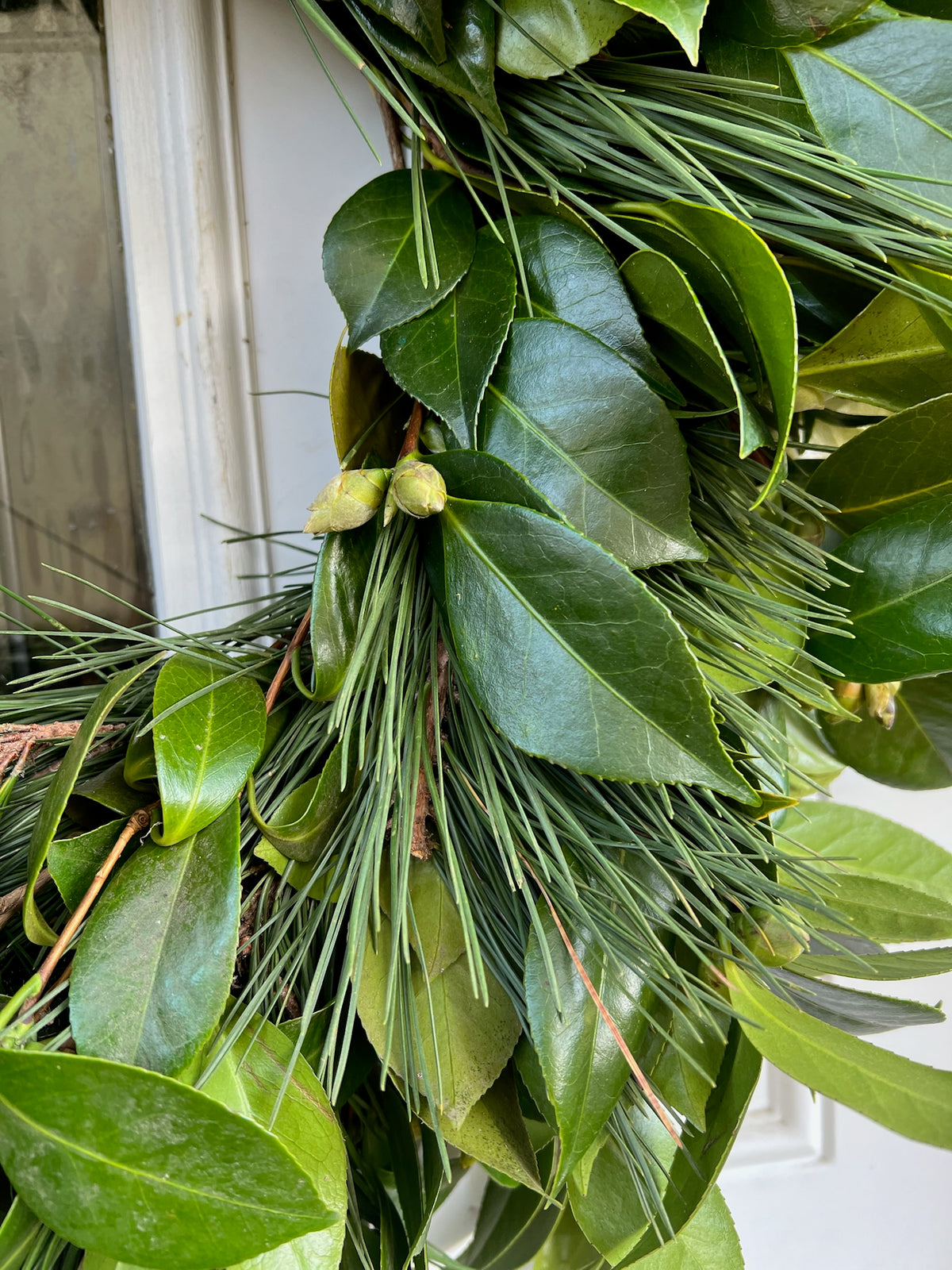 Fresh Camellia and Pine Wreath