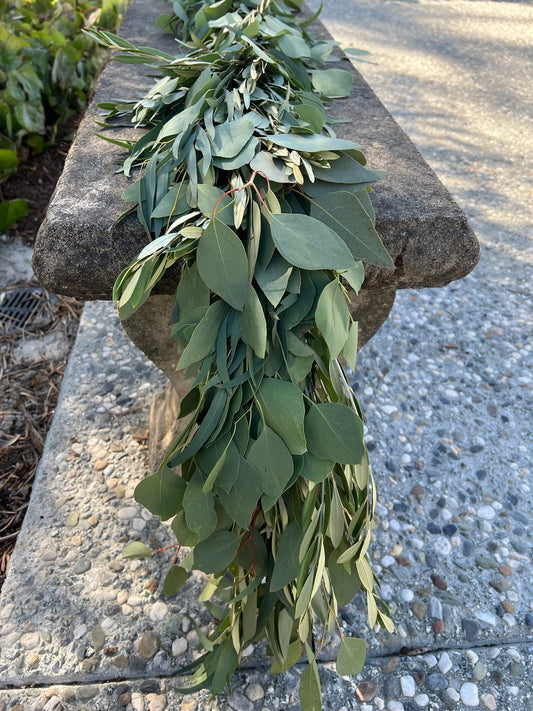 Fresh Willow Eucalyptus, Olive, and Silver Dollar Eucalyptus Garland