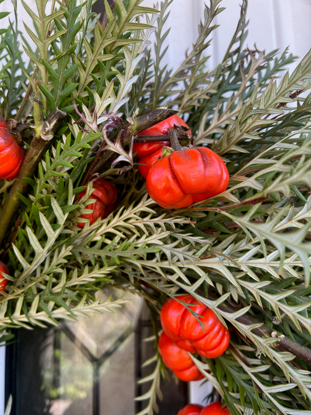 Fresh Grevillea and Pumpkin Tree Wreath