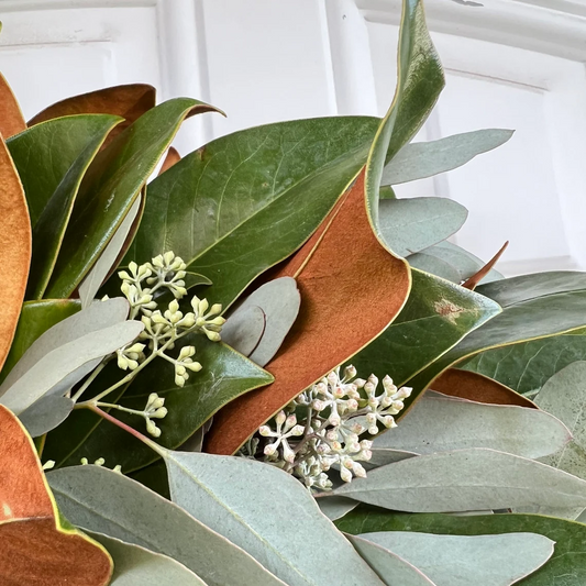 Fresh Seeded Eucalyptus and Magnolia Wreath