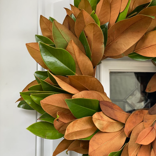 Fresh Magnolia Wreath