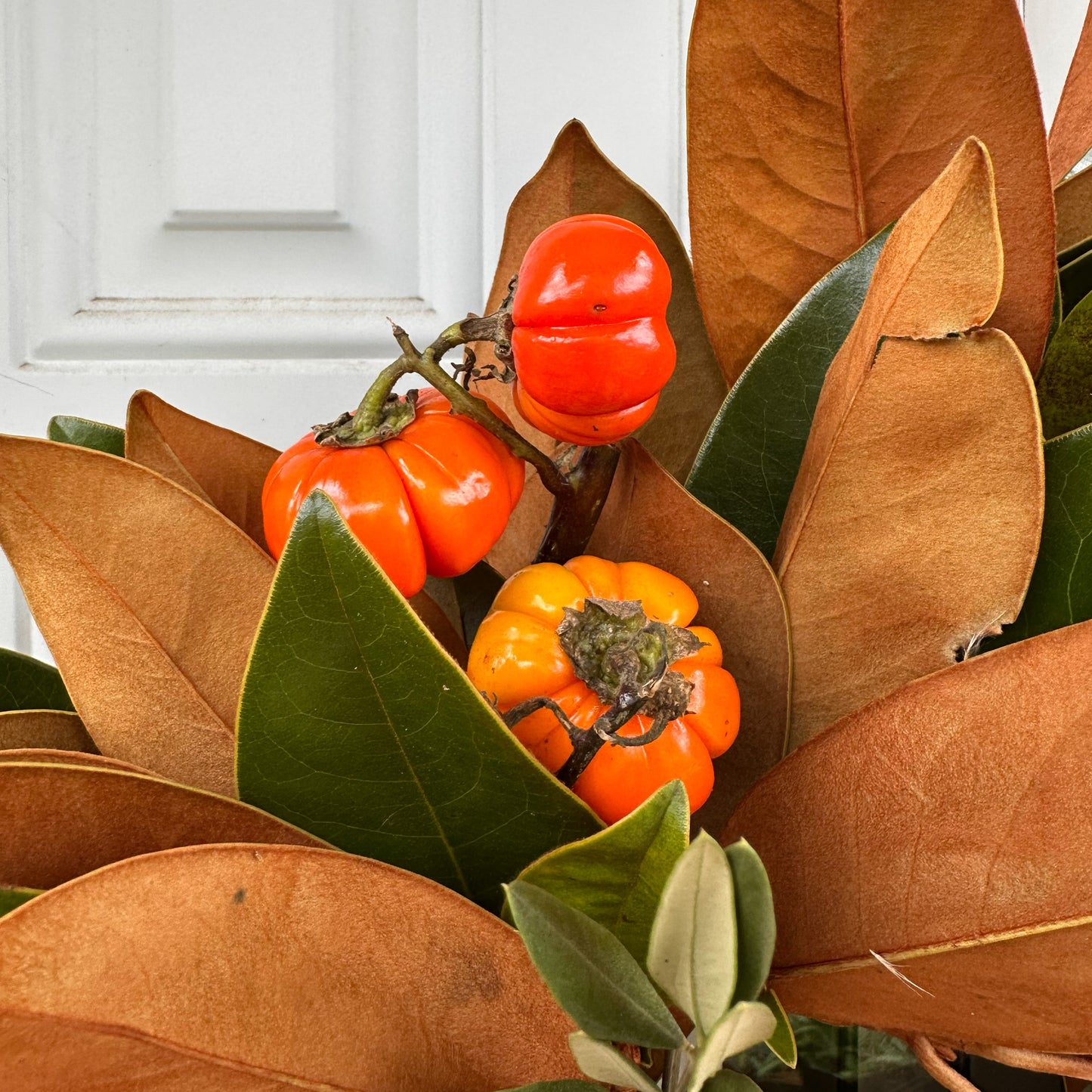 close up of pumpkin tree branch in fresh handmade magnolia olive and pumpkin tree wreath for fall autumn and Thanksgiving decor