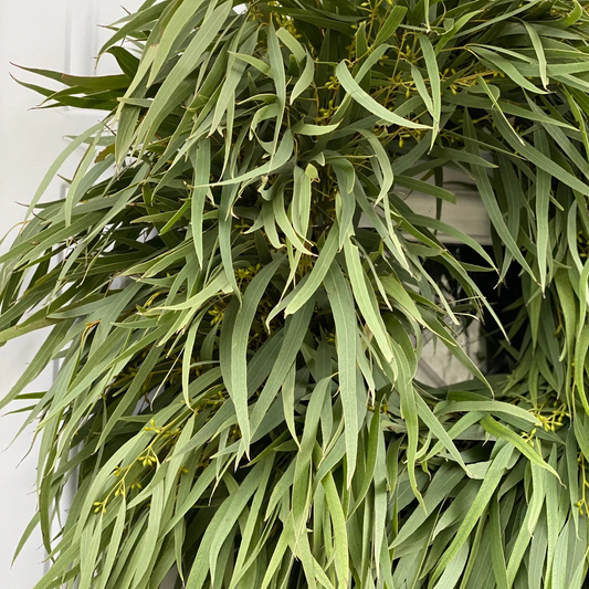 Fresh Handmade Willow Eucalyptus Wreath
