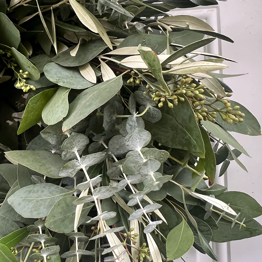 Fresh Seeded Eucalyptus Spiral Eucalyptus and Olive Wreath