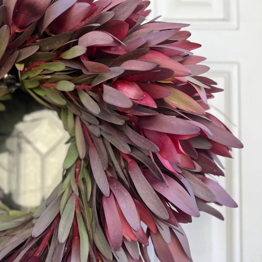 Fresh Safari Sunset Leucadendron Wreath