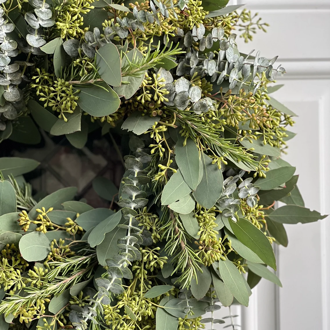 Fresh Seeded Eucalyptus Rosemary and Spiral Eucalyptus Wreath