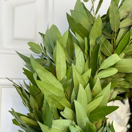 Fresh Bay Leaf Wreath
