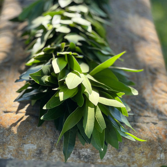 Fresh Bay Leaf Garland