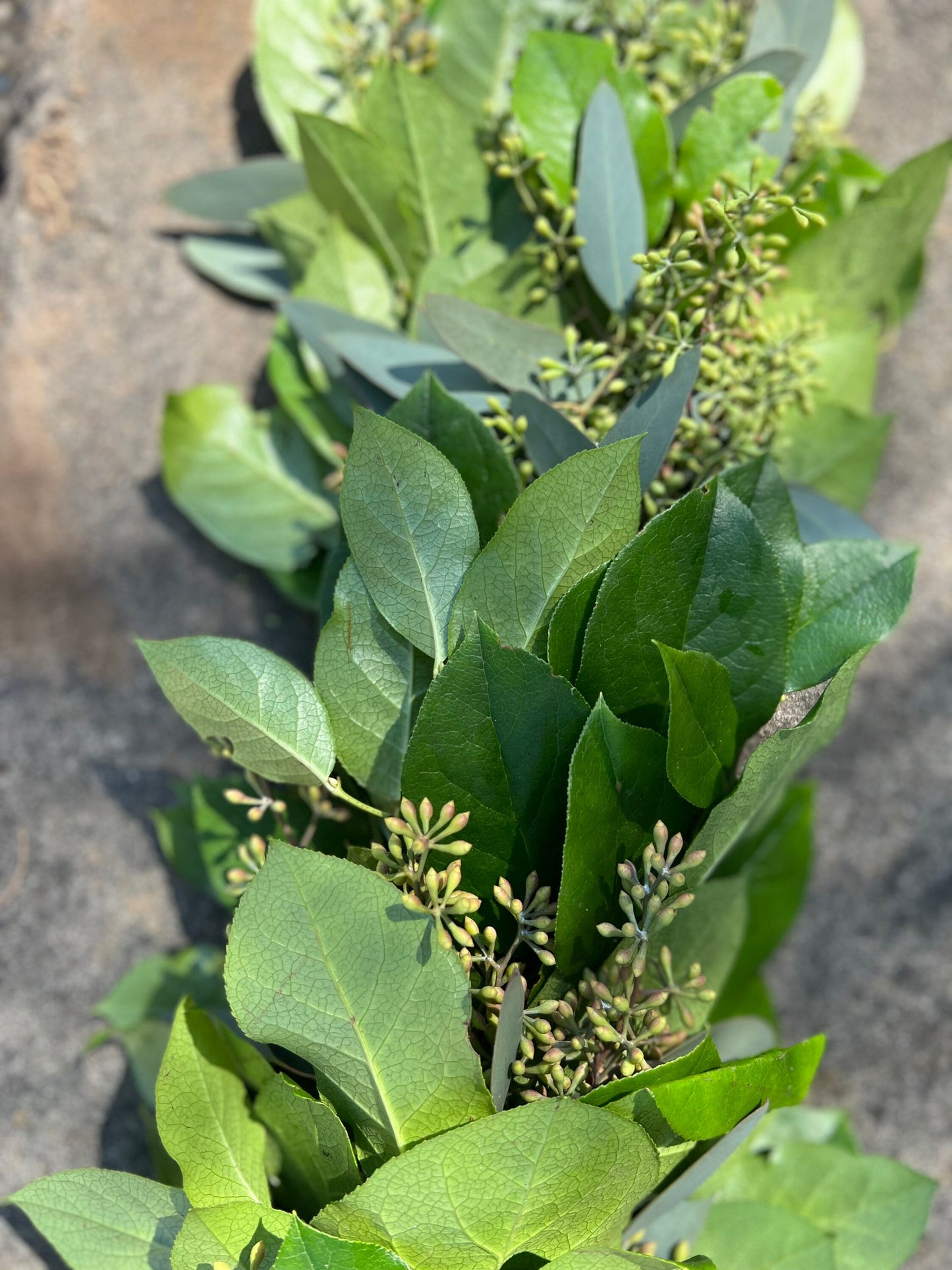 Fresh Seeded Eucalyptus and Lemon Leaf Garland