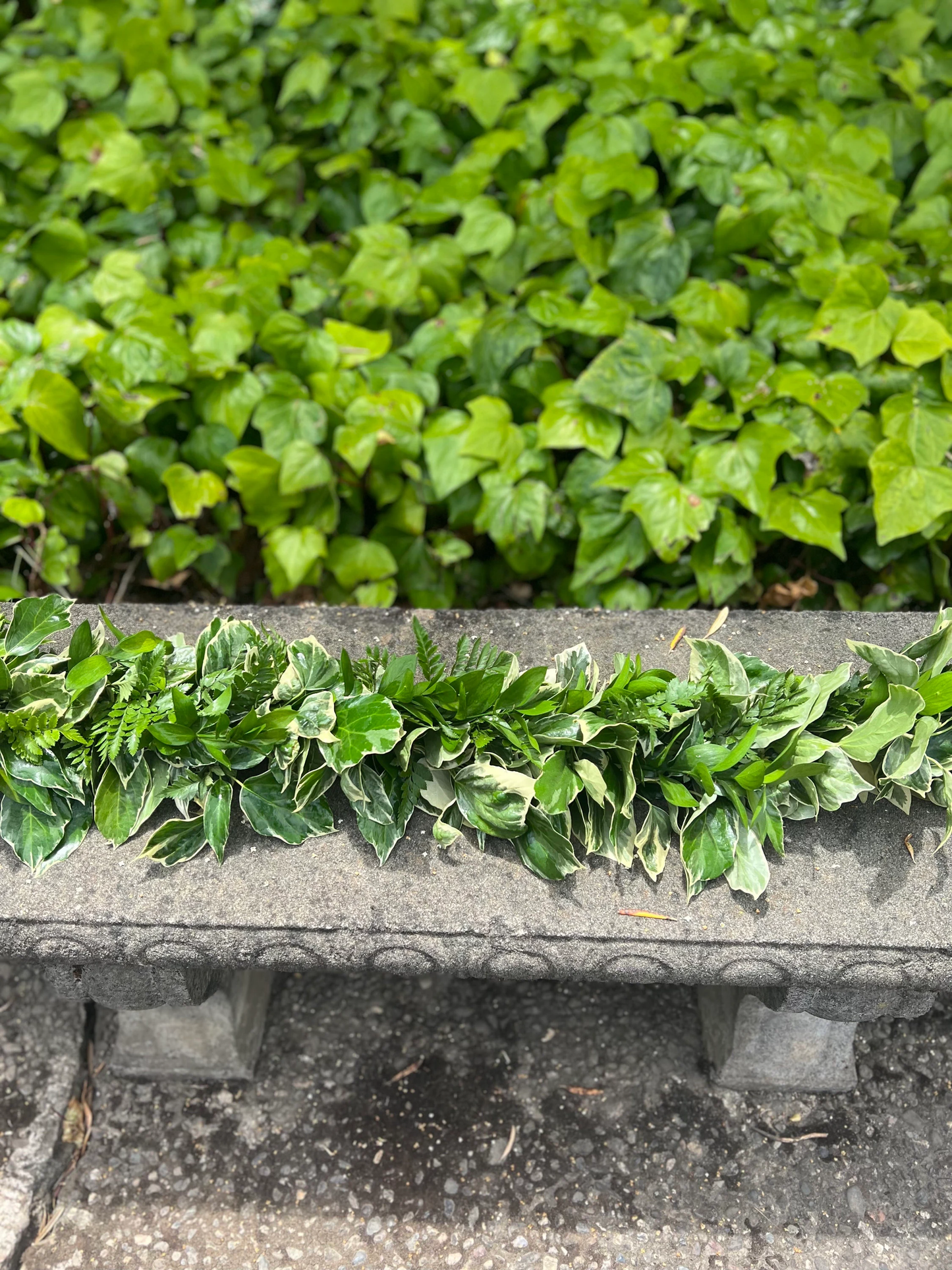 Fresh Leatherleaf Fern, Bush Ivy, and Ruscus Garland