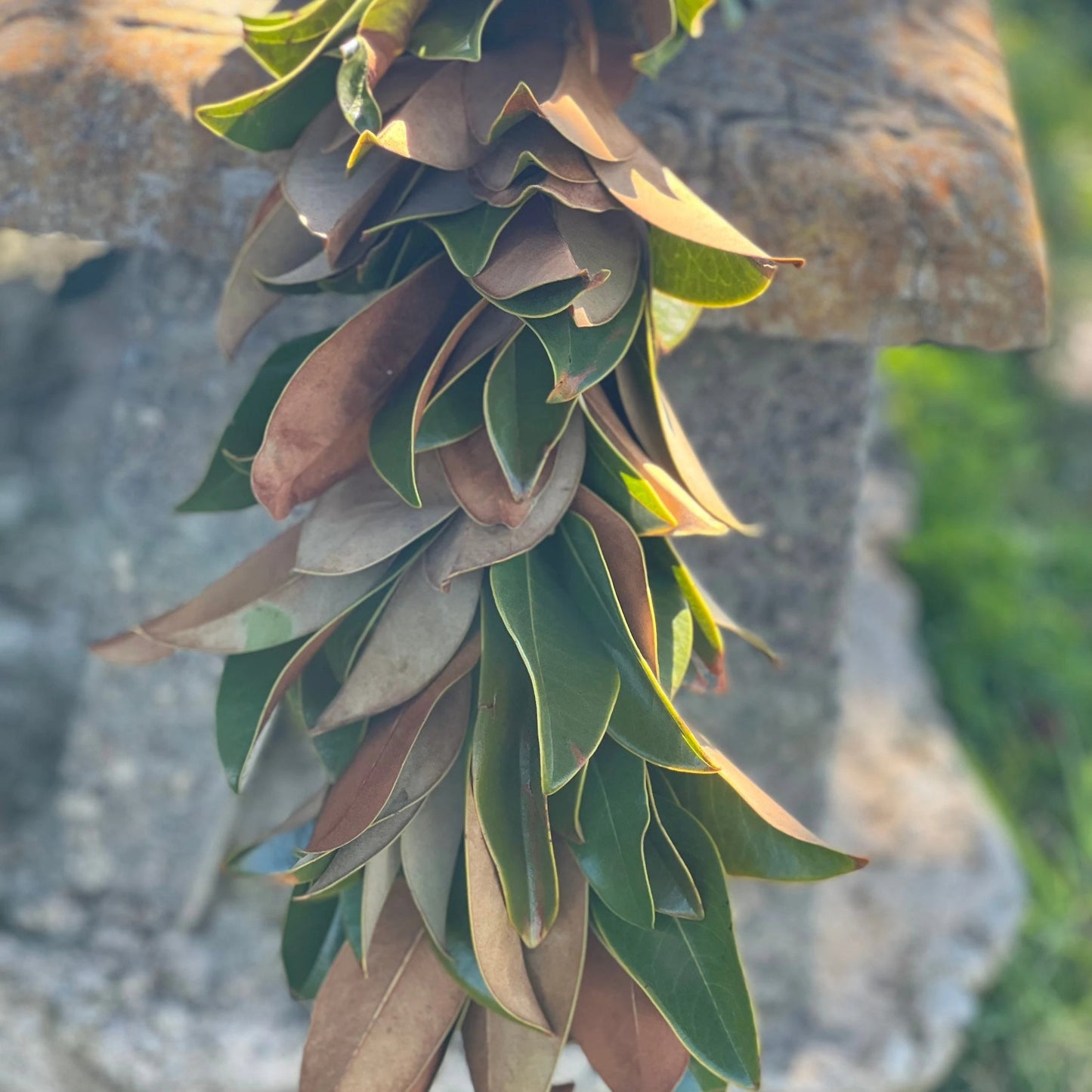 Fresh Magnolia Garland