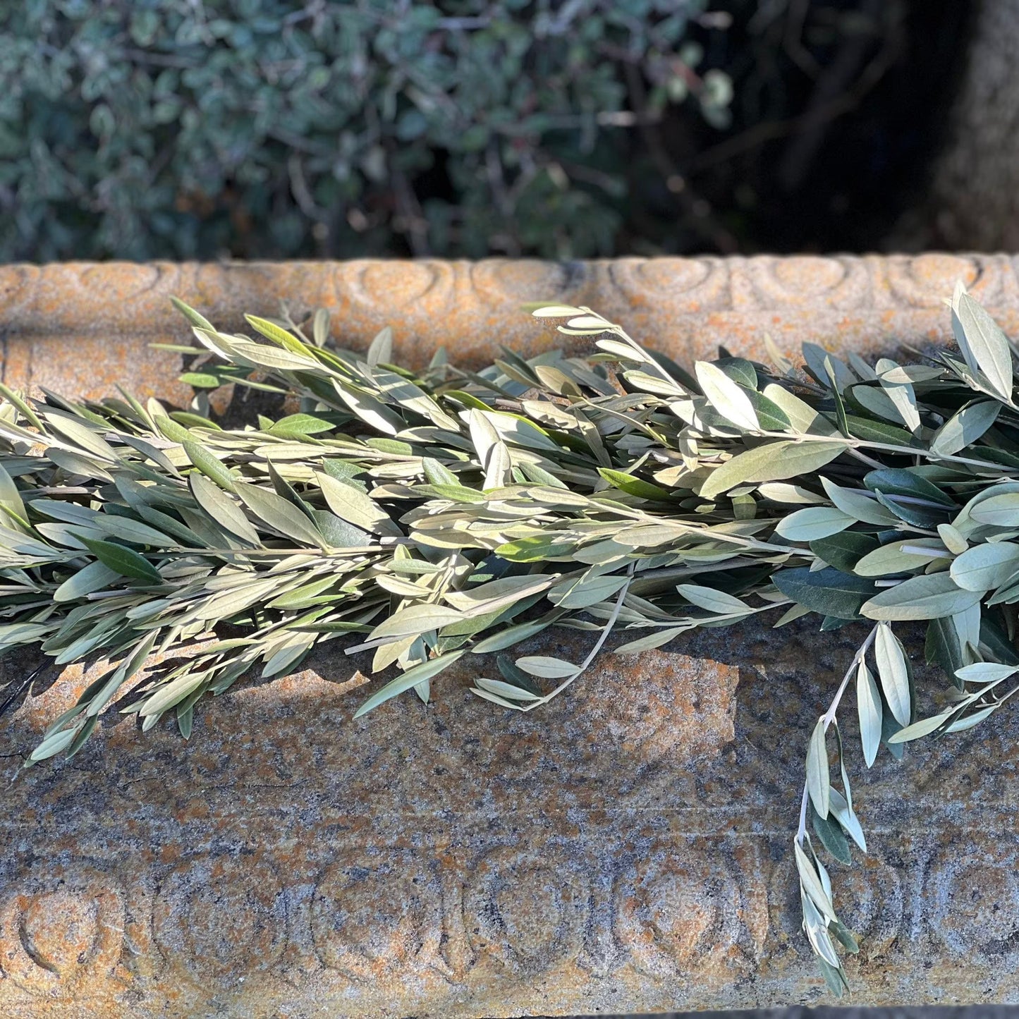 Fresh Olive Garland
