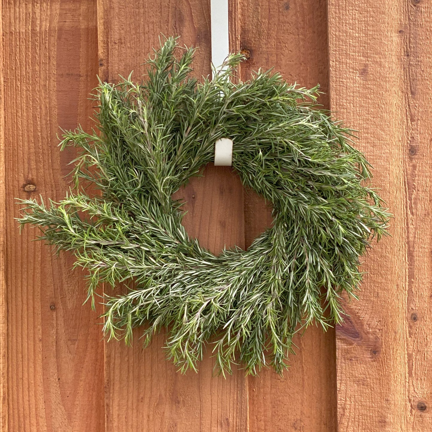 Fresh Rosemary Wreath
