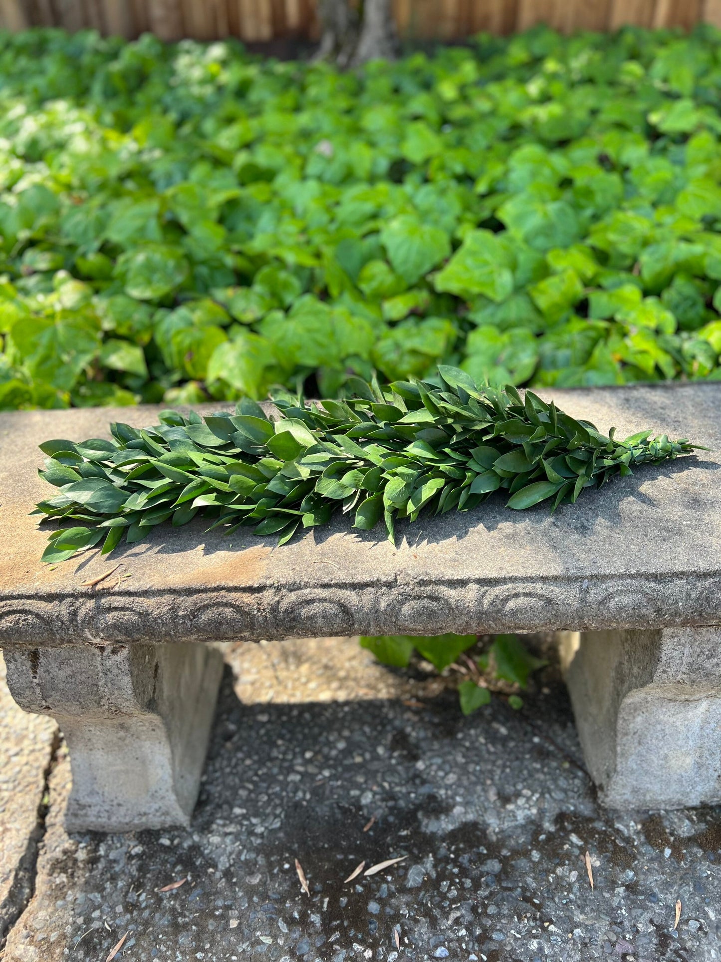 Fresh Ruscus Garland