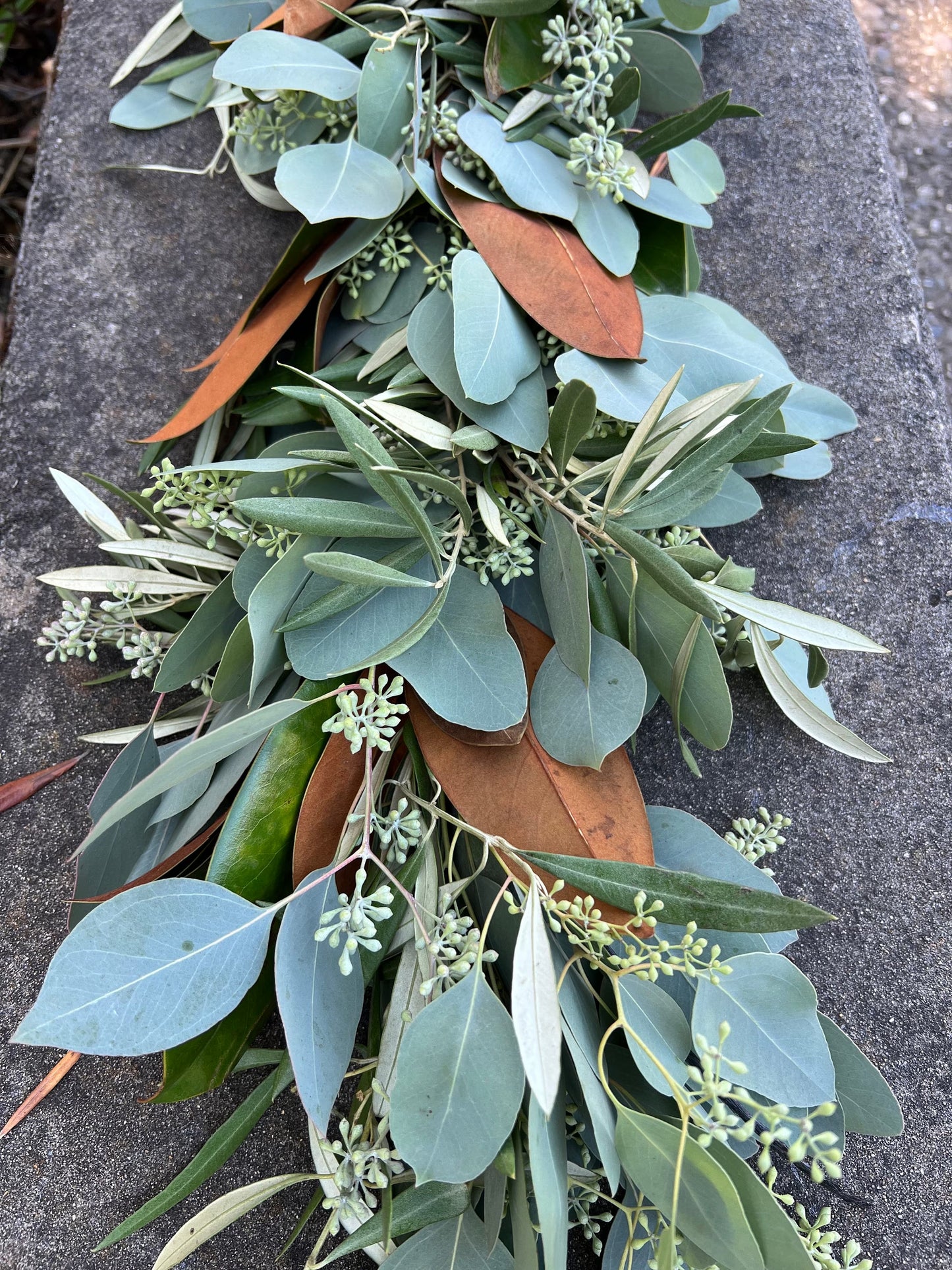 Fresh Magnolia, Olive, and Seeded Eucalyptus Garland