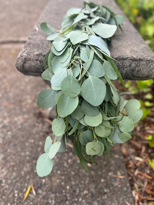 Fresh Willow and Silver Dollar Eucalyptus Garland