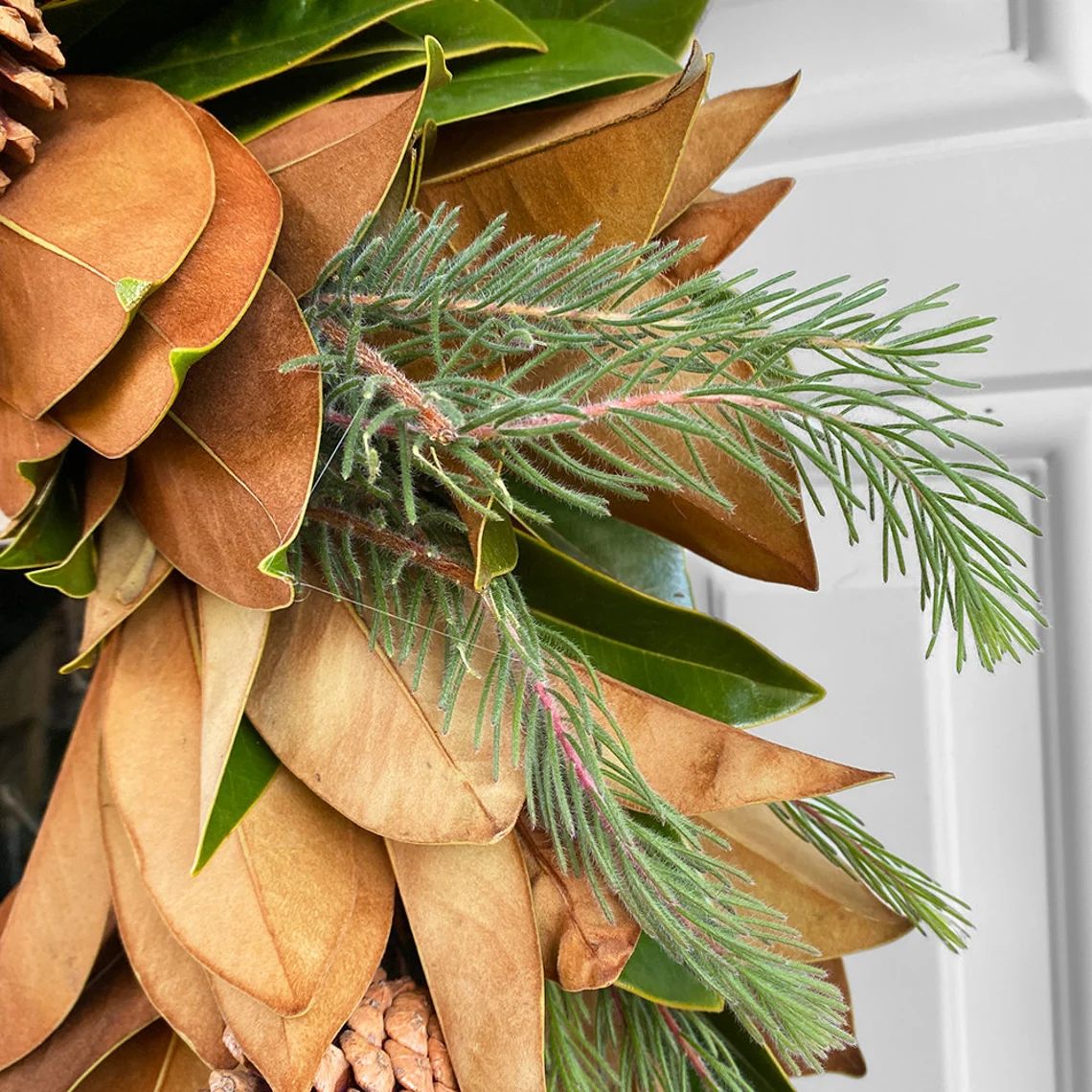 Fresh Magnolia, Pine Aussi, and Pinecone Fall Greenery Wreath