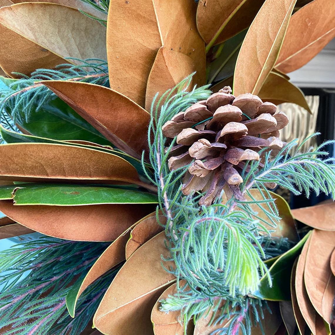 Fresh Magnolia, Pine Aussi, and Pinecone Fall Greenery Wreath