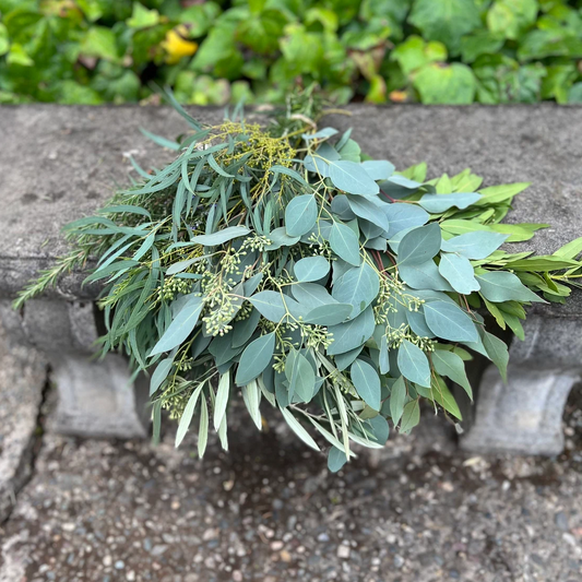 Fresh Assorted Eucalyptus and Greenery Sampler Bunch