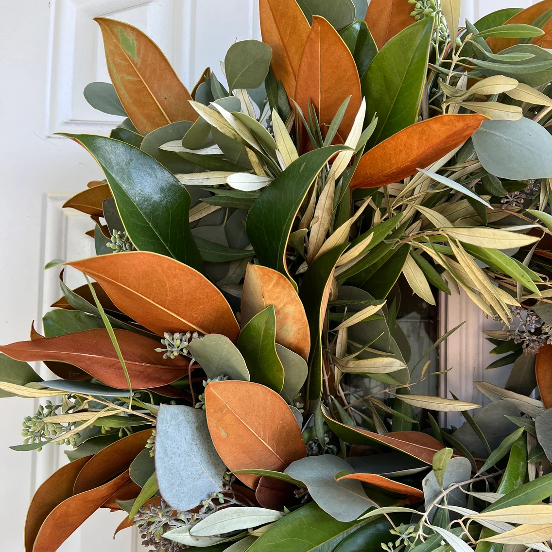 Fresh Magnolia Seeded Eucalyptus and Olive Wreath