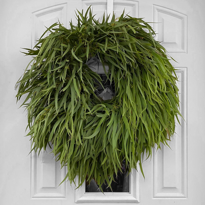 Fresh Handmade Willow Eucalyptus Wreath