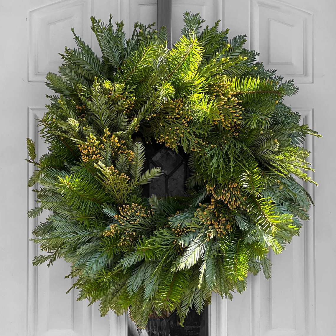 Fresh Redwood Cedar and Fir Wreath