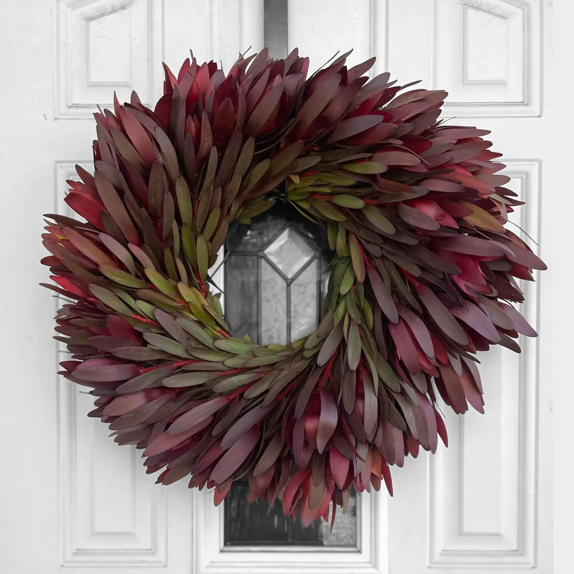 Fresh Safari Sunset Leucadendron Wreath