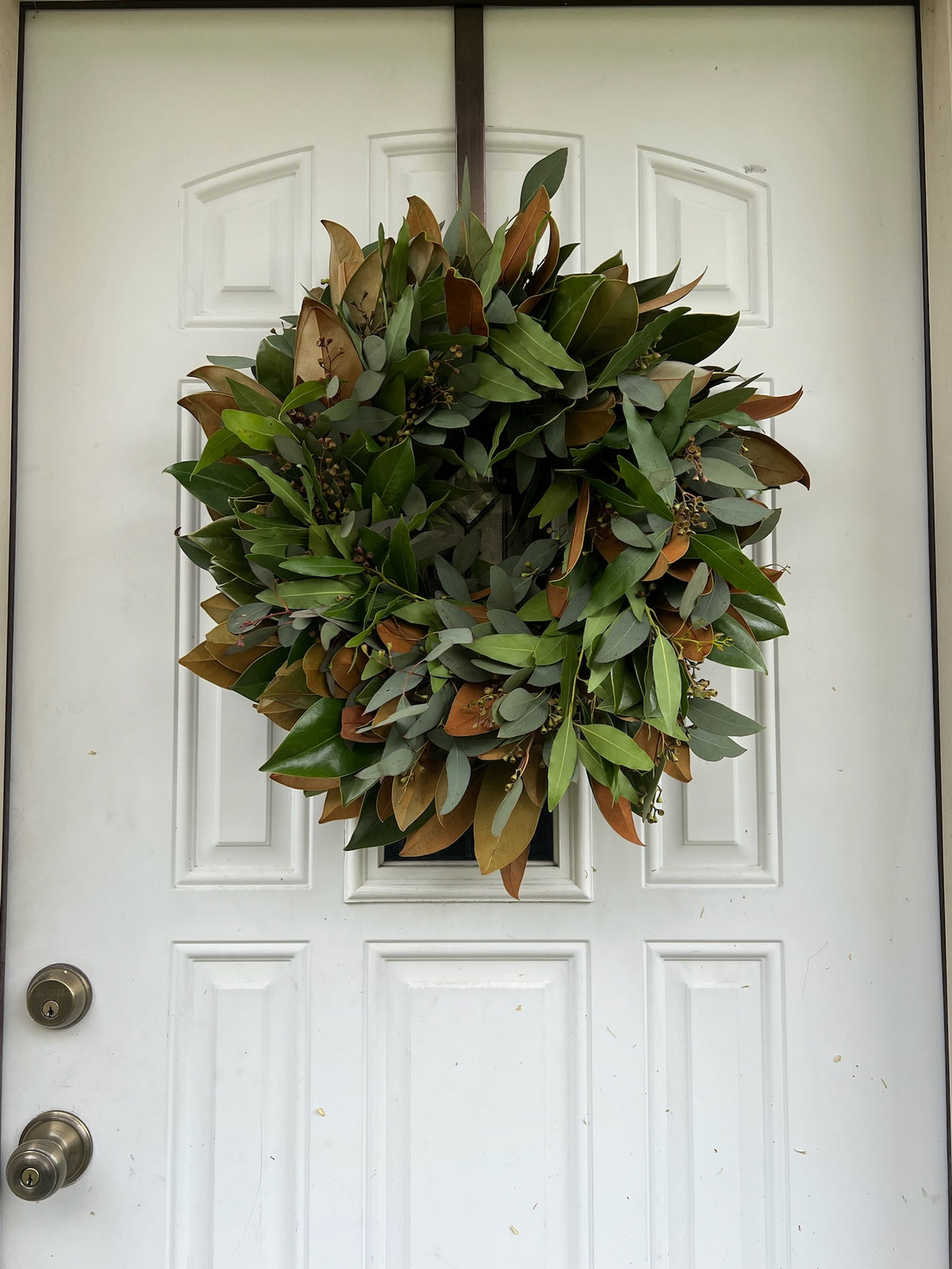Fresh Magnolia Seeded Eucalyptus and Bay Wreath