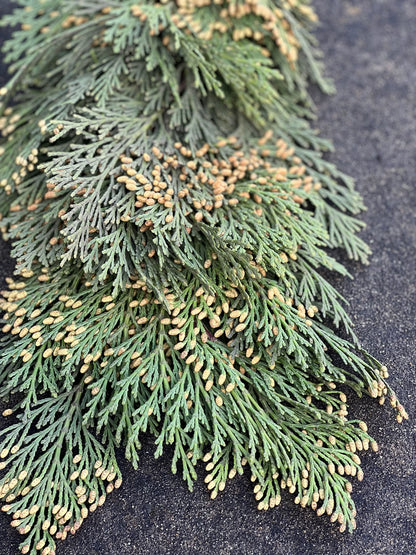 Fresh Cedar Garland