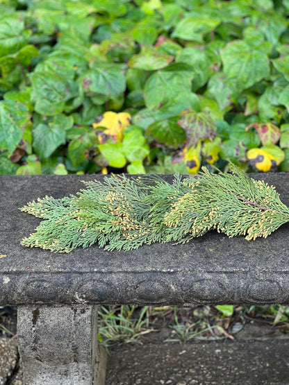 Fresh Cedar Garland