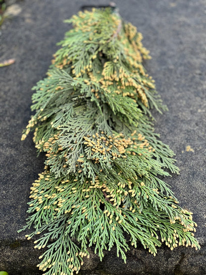 Fresh Cedar Garland