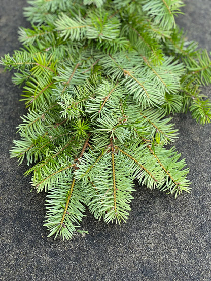 Fresh Douglas Fir Garland