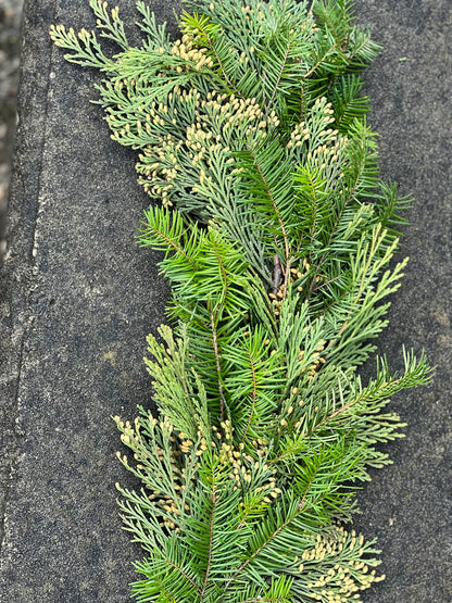 Fresh Cedar and Fir Garland