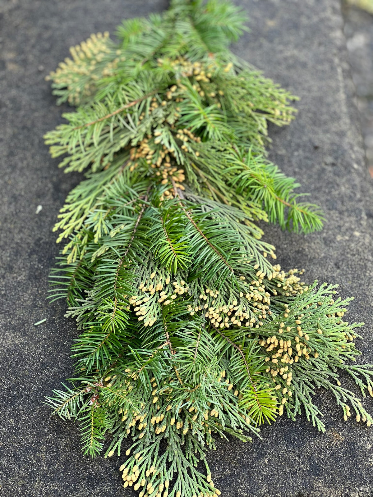 Fresh Cedar and Fir Garland