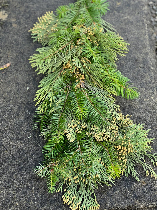 Fresh Cedar and Fir Garland