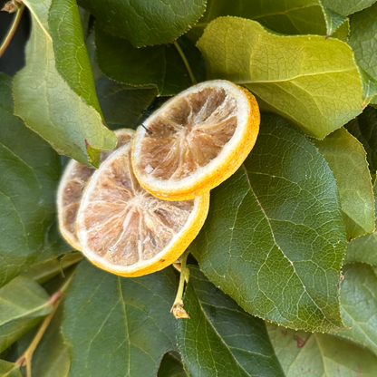 Lemon Leaf with Preserved Lemon Slices Wreath