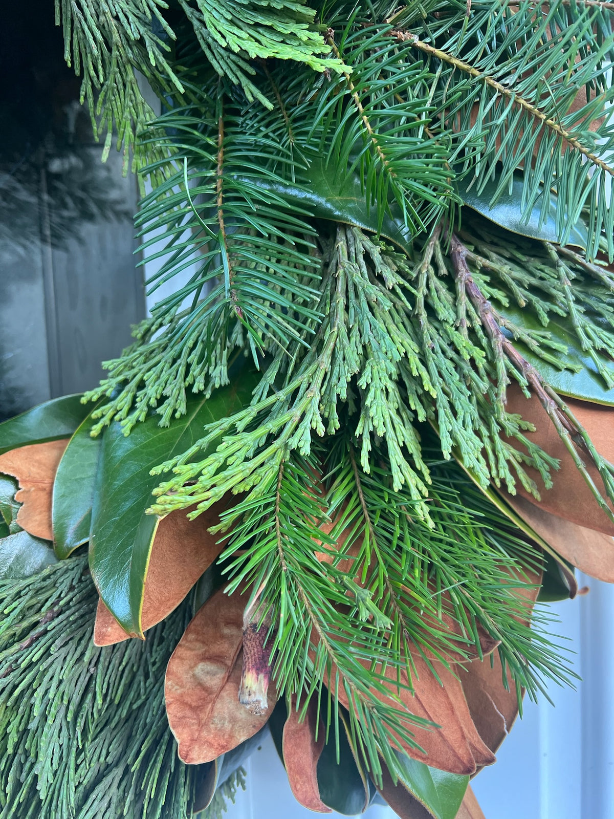 Fresh Magnolia and Cedar Wreath