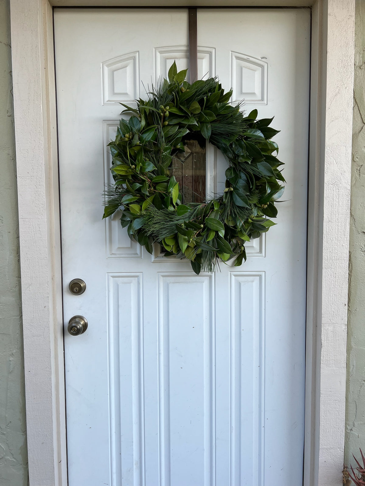 Fresh Camellia and Pine Wreath