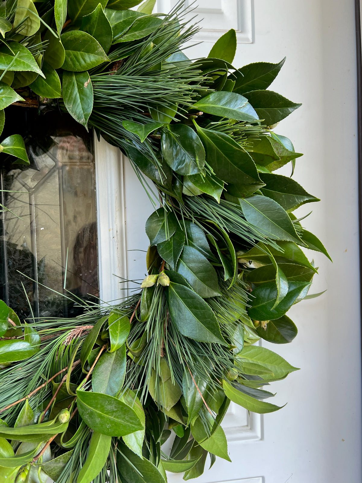 Fresh Camellia and Pine Wreath