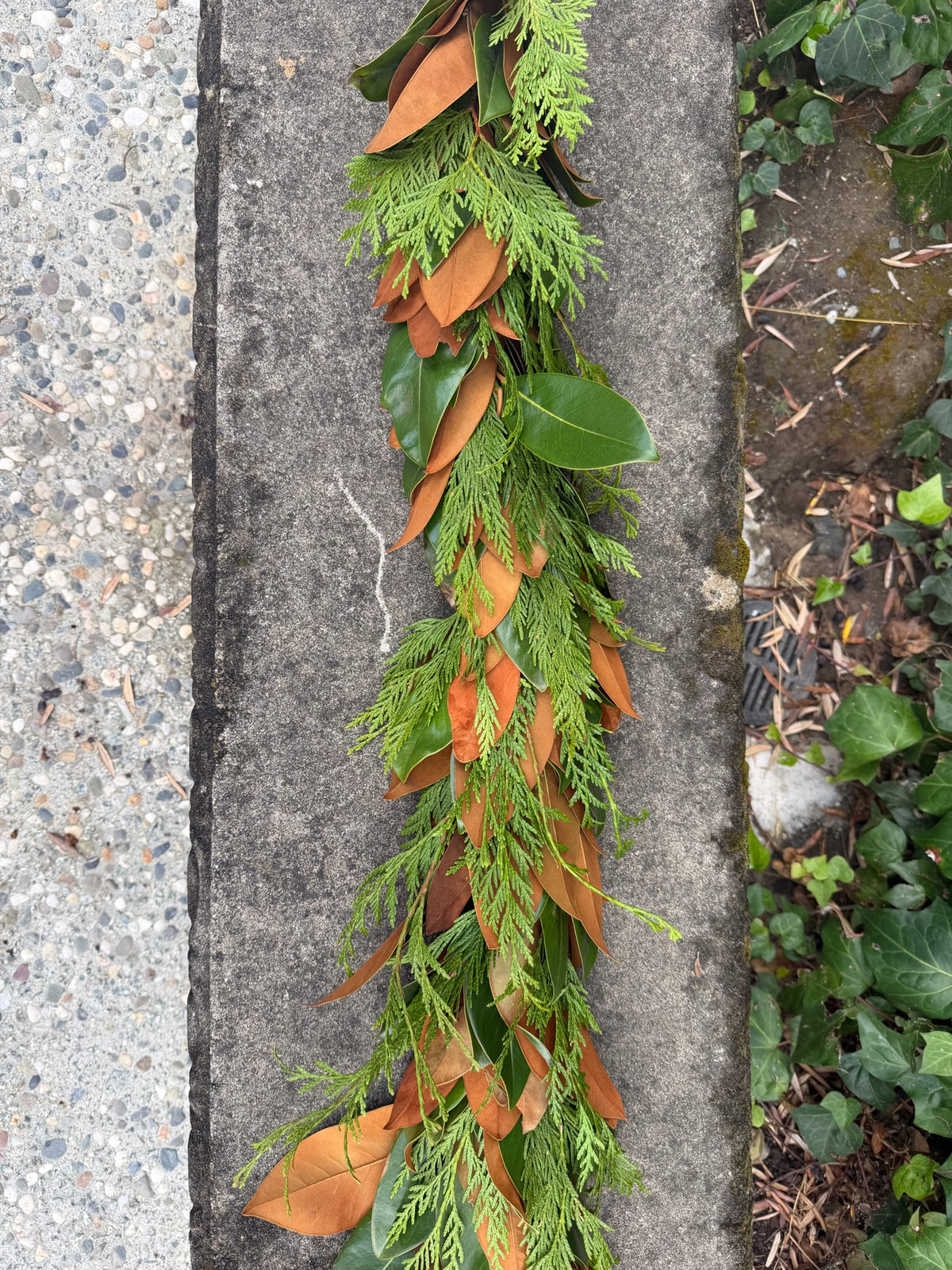 Fresh Cedar and Magnolia Garland