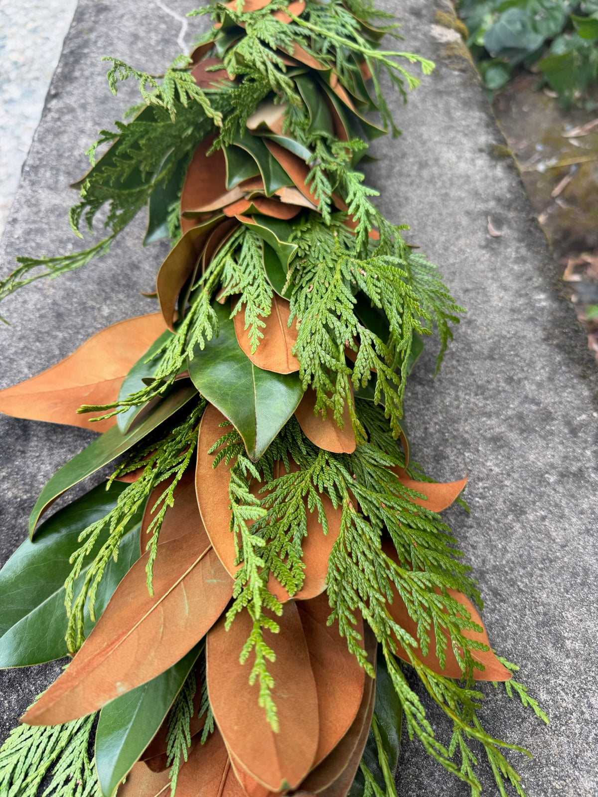 Fresh Cedar and Magnolia Garland