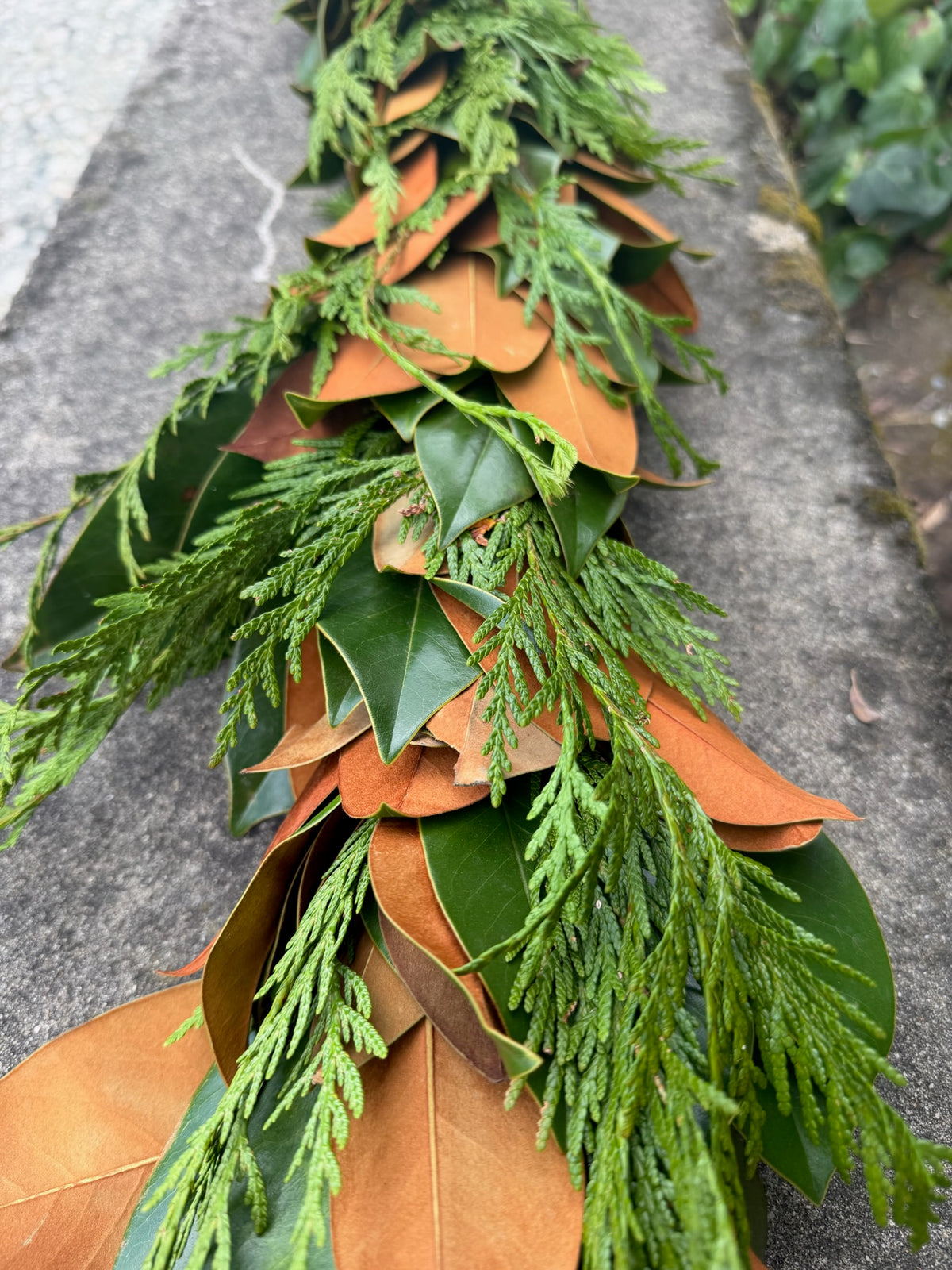 Fresh Cedar and Magnolia Garland