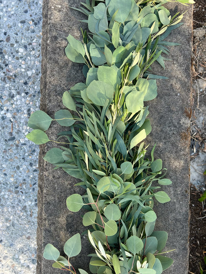 Fresh Willow Eucalyptus, Olive, and Silver Dollar Eucalyptus Garland