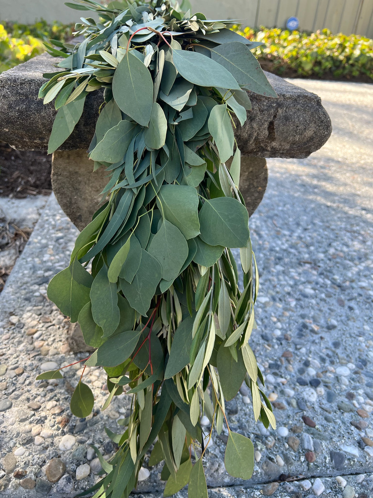 Fresh Willow Eucalyptus, Olive, and Silver Dollar Eucalyptus Garland
