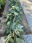 Fresh Willow Eucalyptus, Olive, and Silver Dollar Eucalyptus Garland